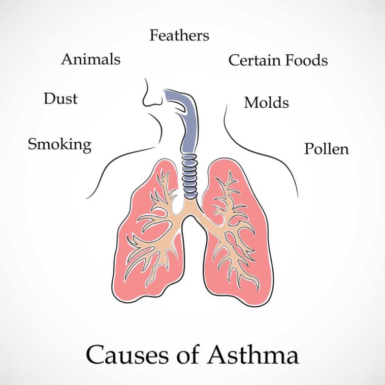 Asthma: What is Asthma?, Causes, Signs, Symptoms and Home Remedies Of ...