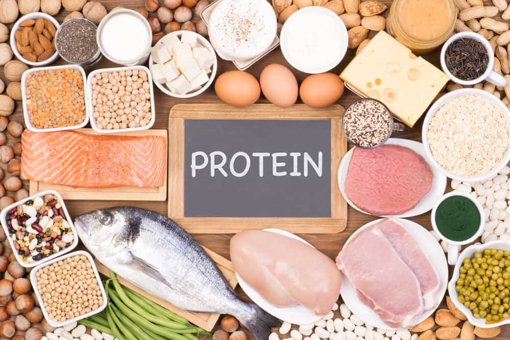 The Best 22 High-Protein Foods That Could Help Support Your Health ...